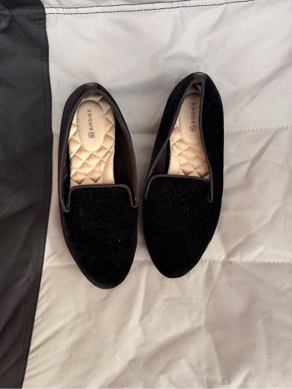 Birdies Black Velvet Slip-On Loafers for Women